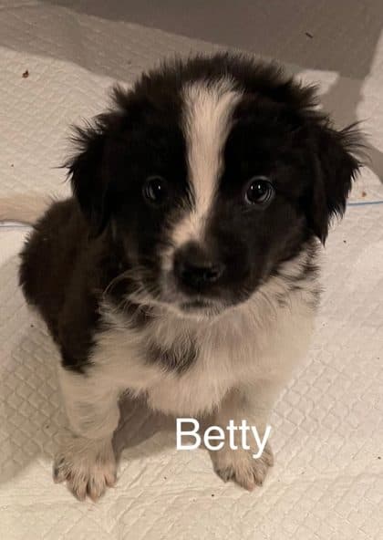 Betty