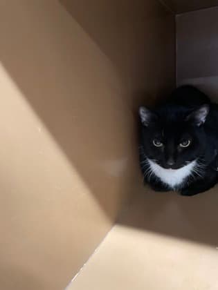 Milo