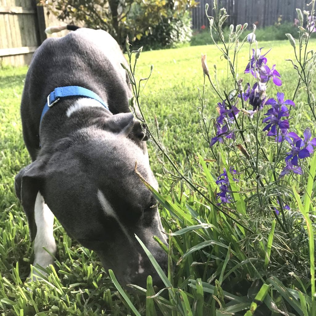 Finny — thumbnail 10