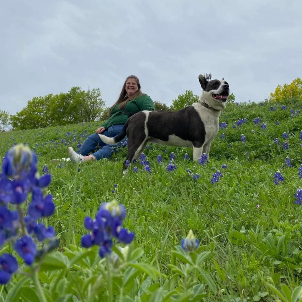 Bluebelle — thumbnail 10