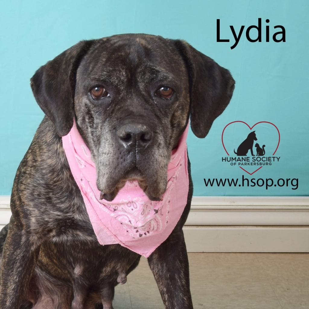 Lydia — thumbnail 3