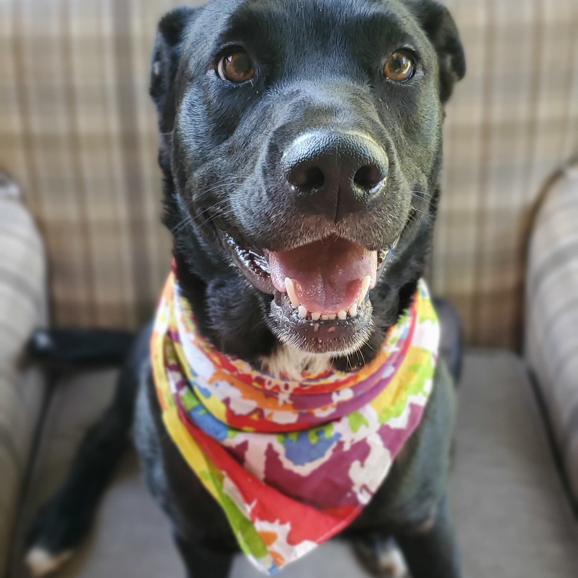 Maggie