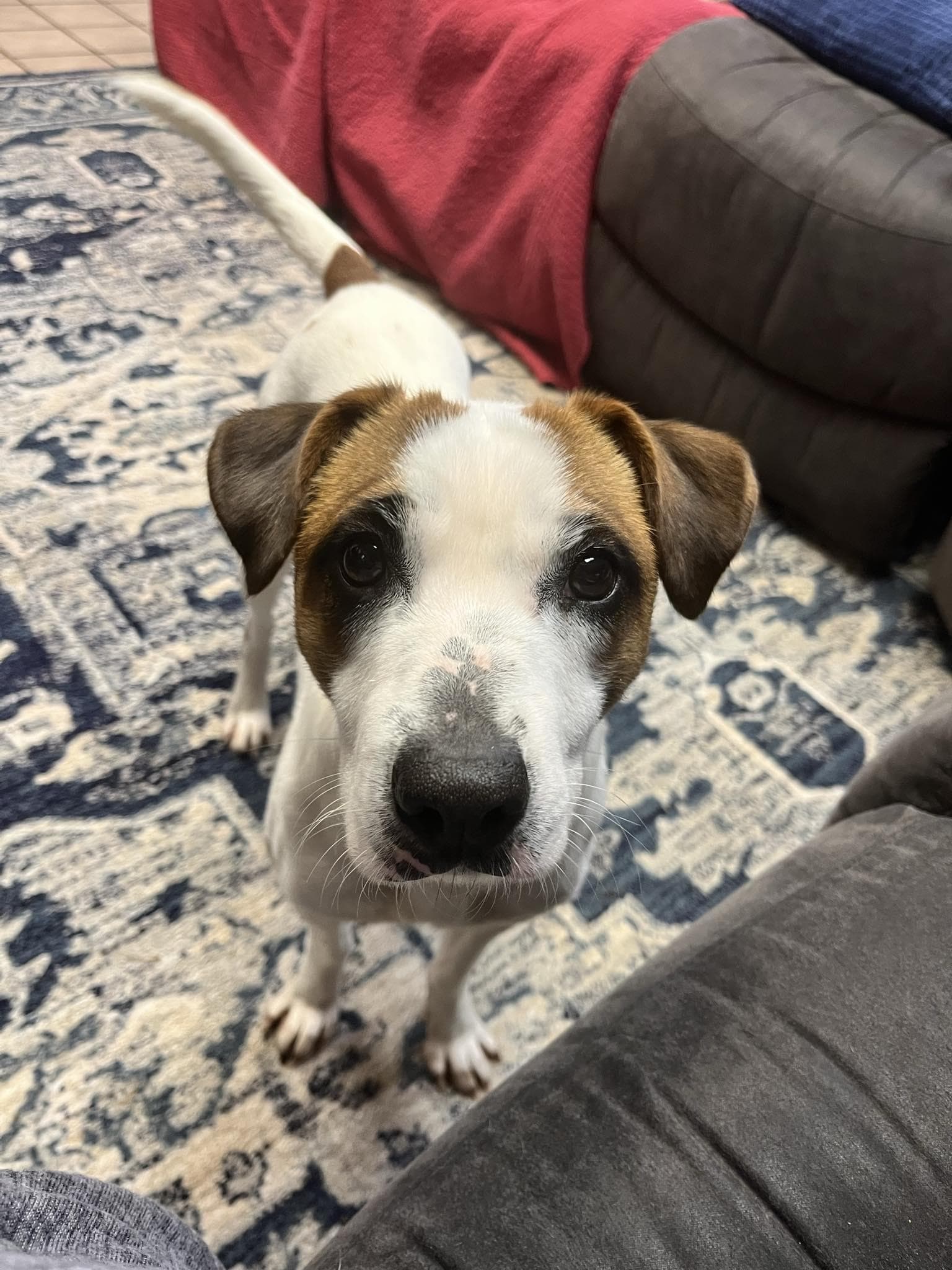 Monday Muffin