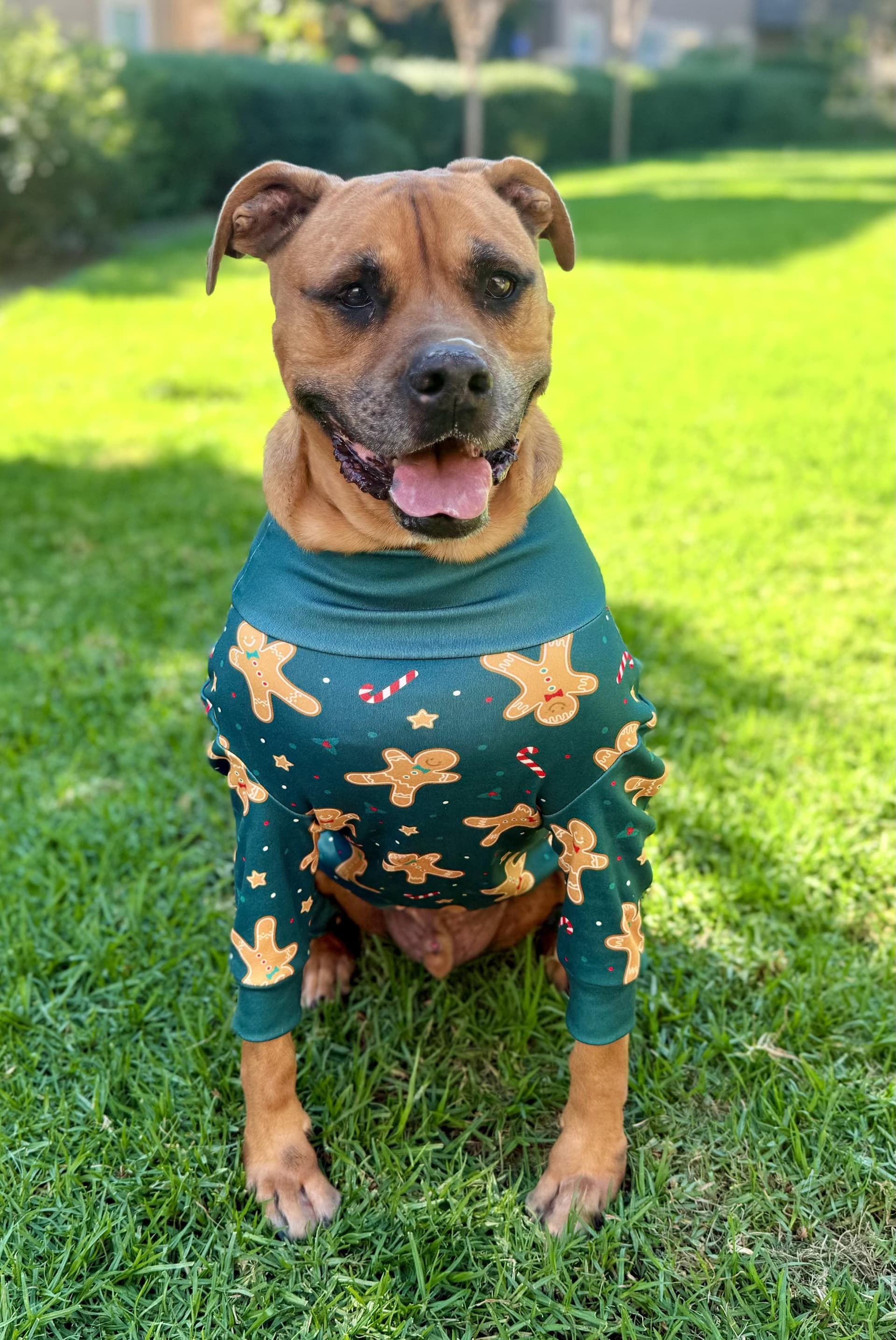 Cjay - Lover of Life