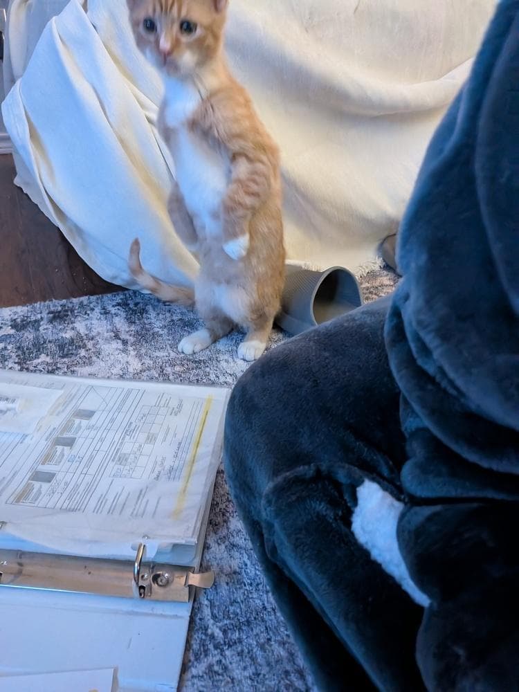 Bucket