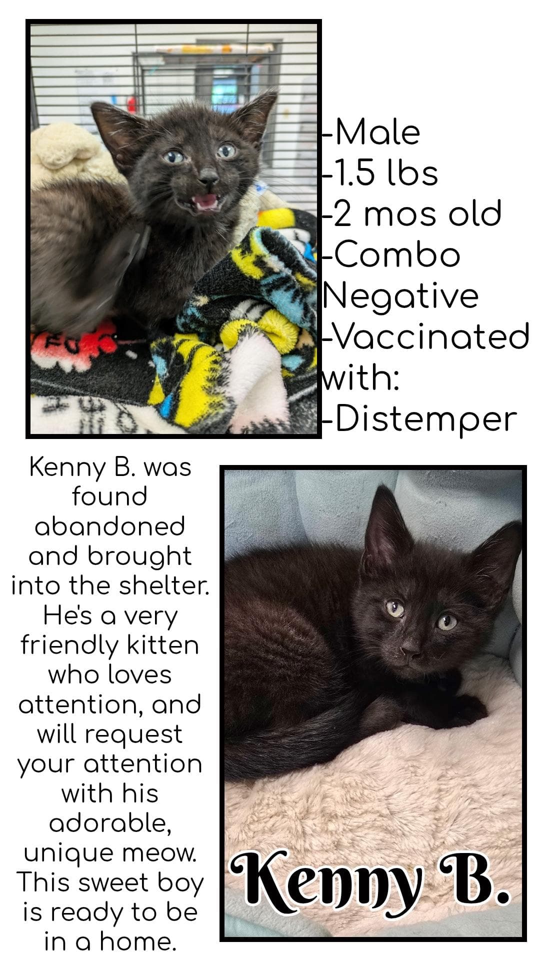 Kenny