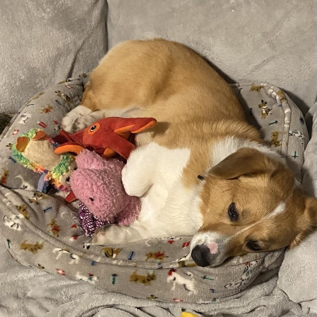 Winston with Willow