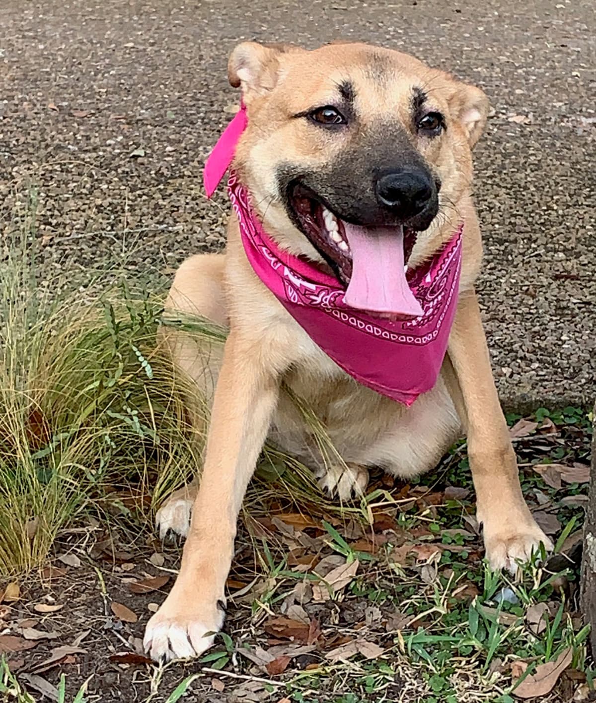 PRECIOUS - SWEET GIRL!