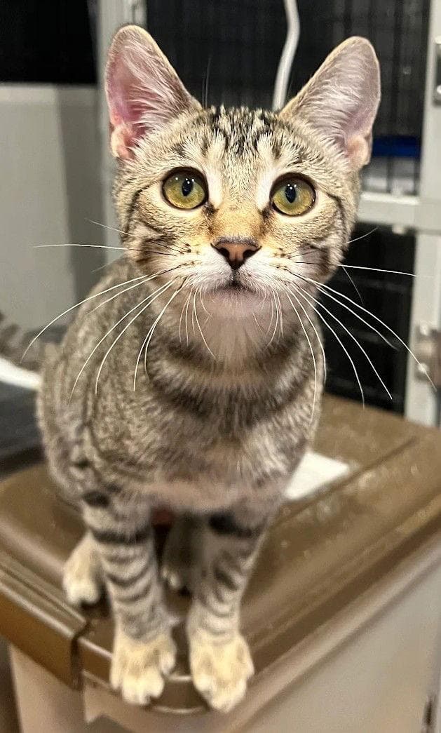 Gabby 9.1.25