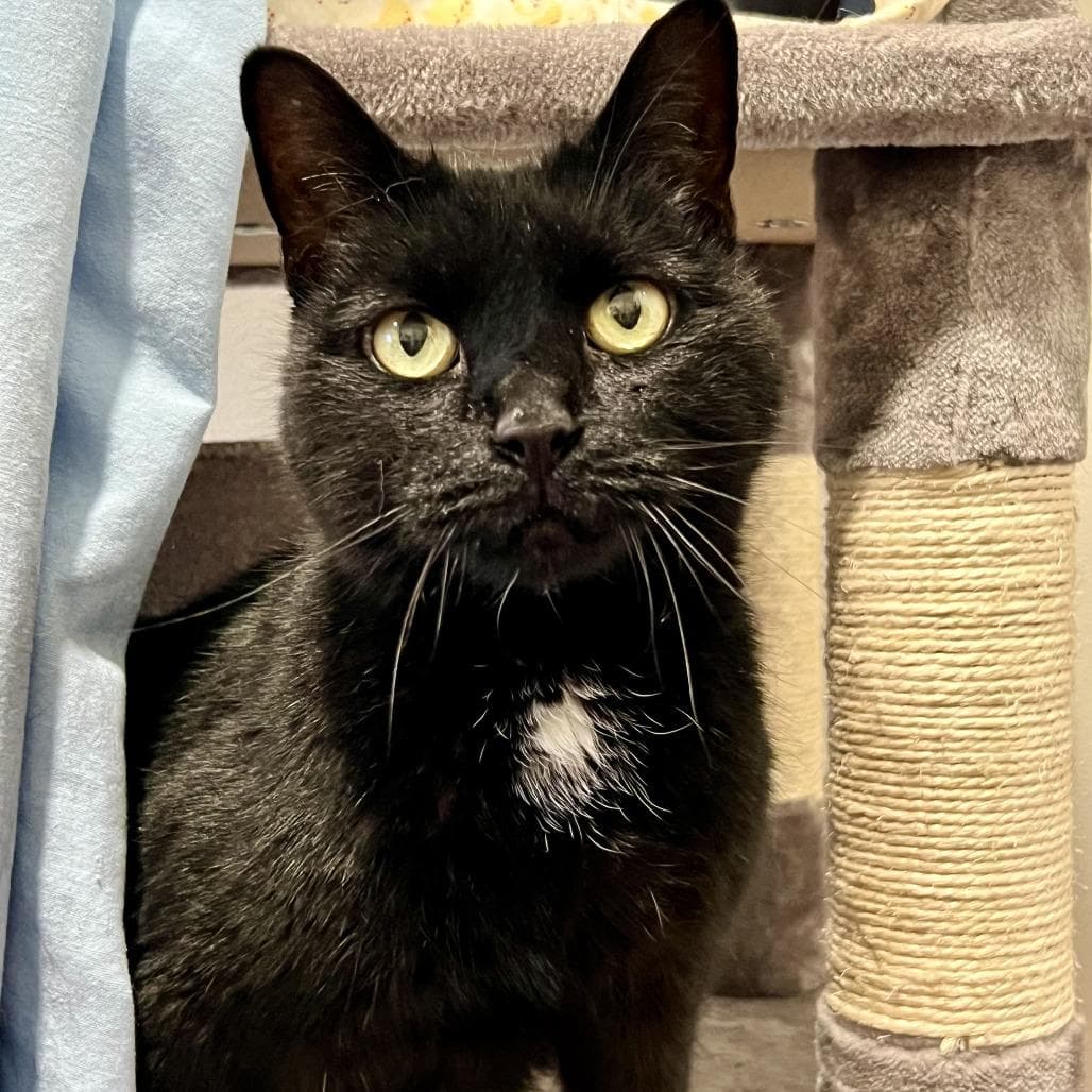 Salem