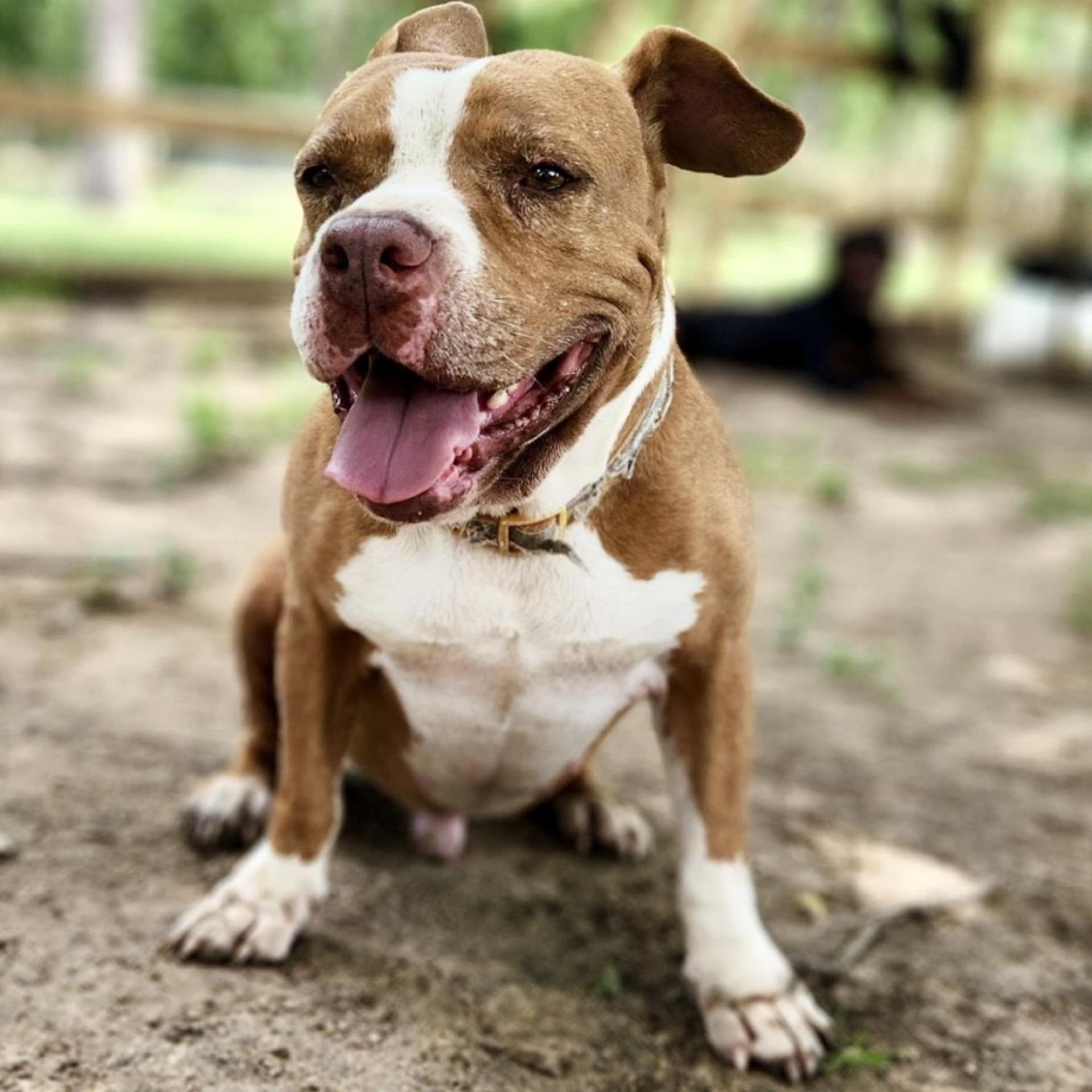 Tyson
