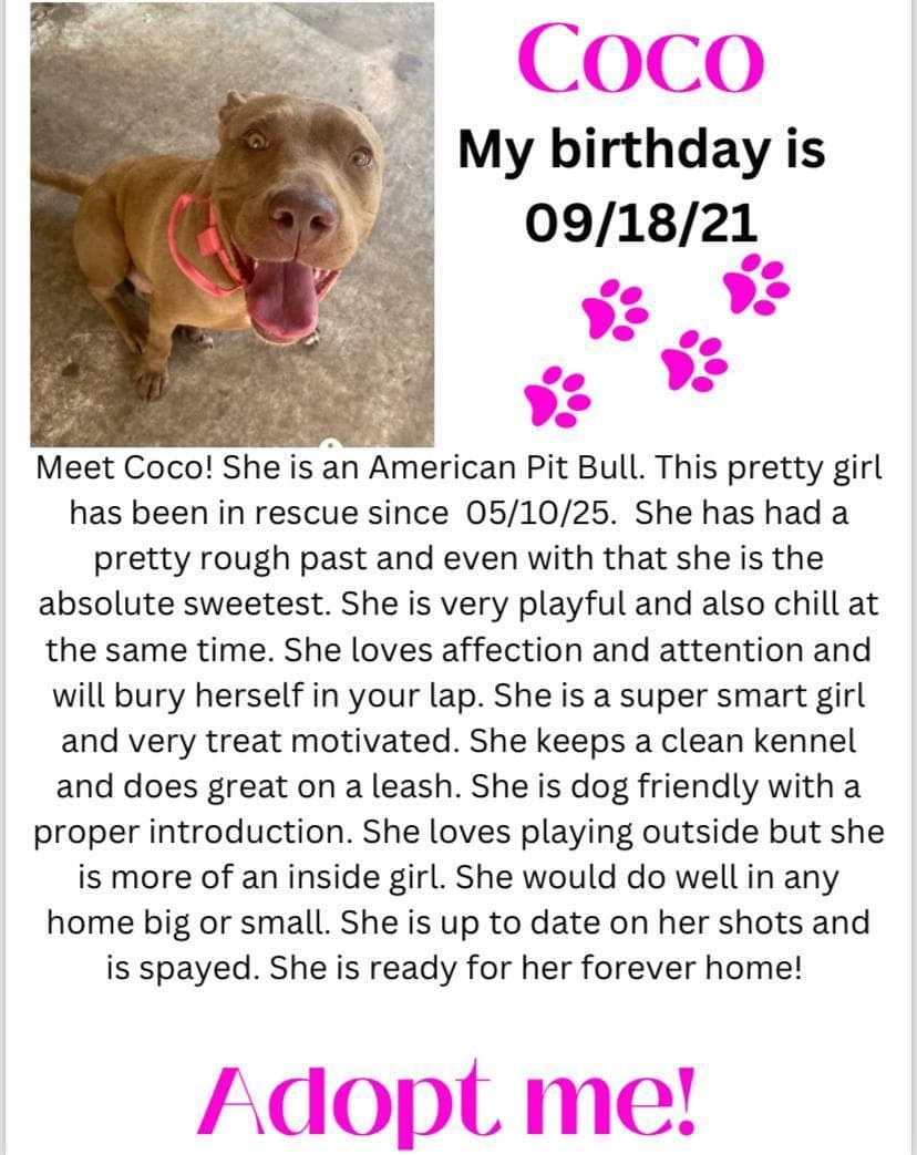 Coco