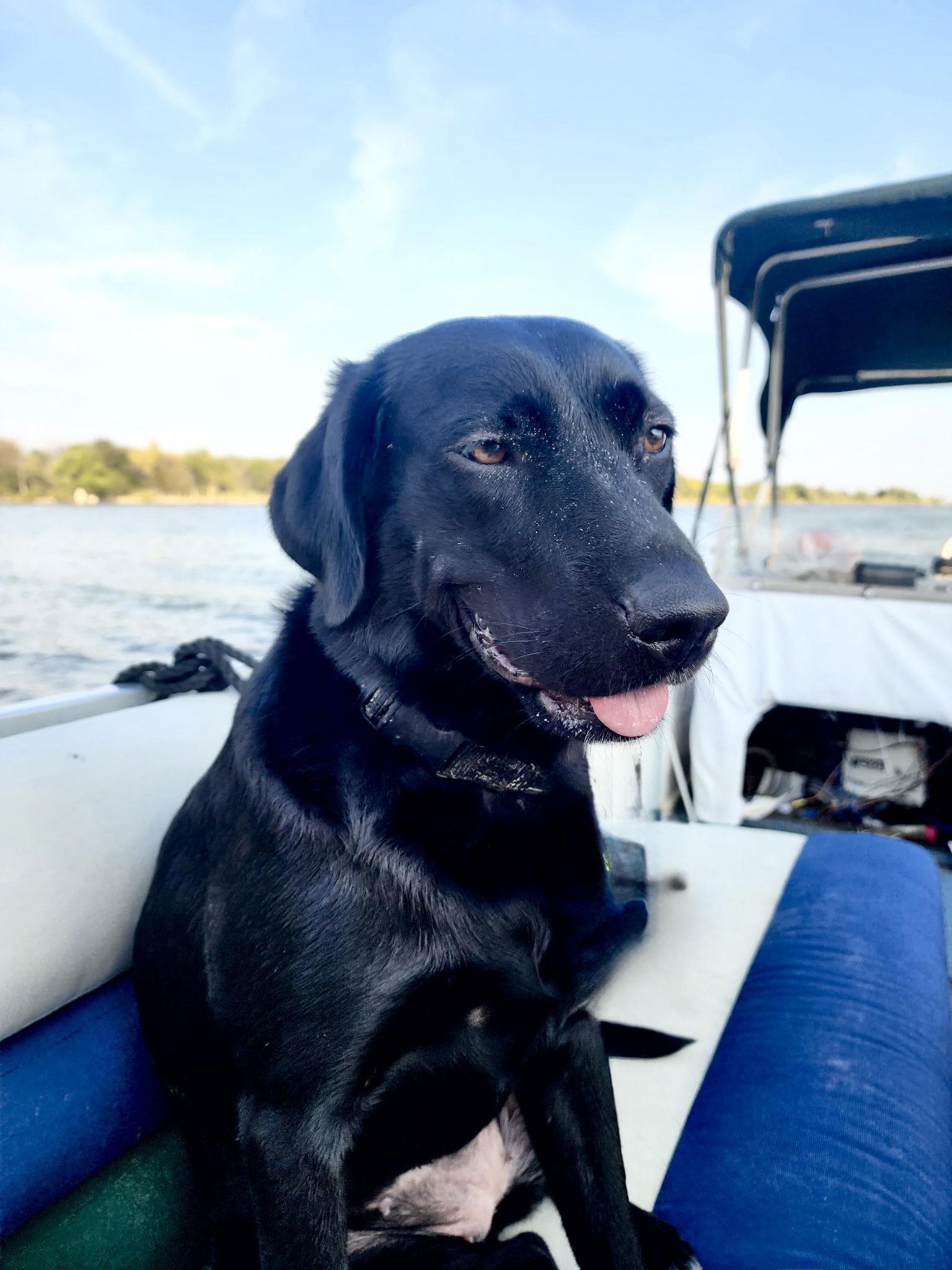 Lilly