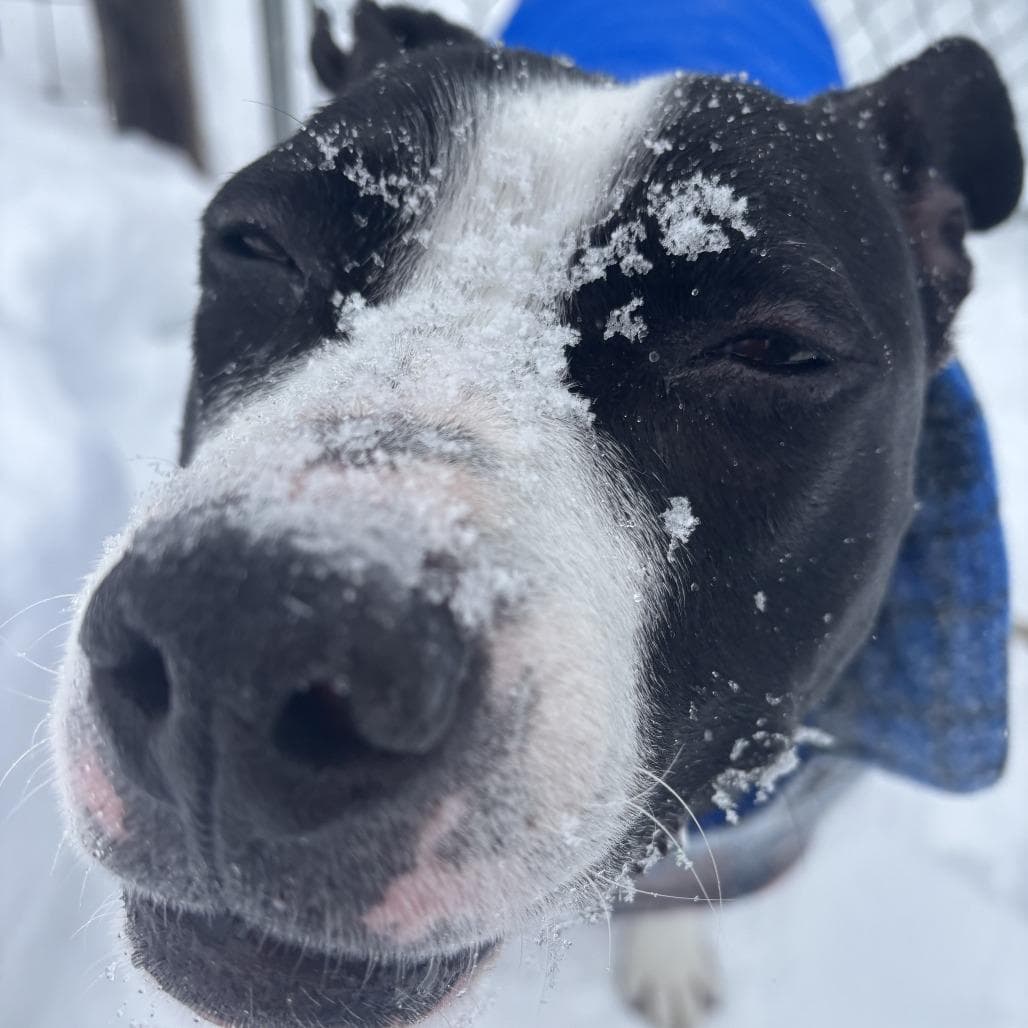 Missy