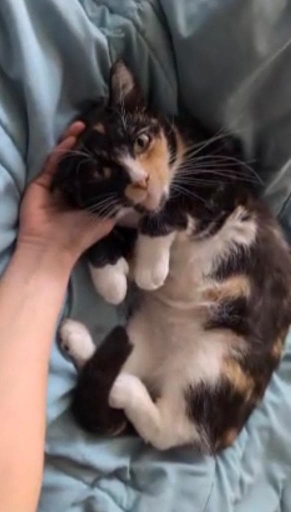 205-Taylor bonded with Travis