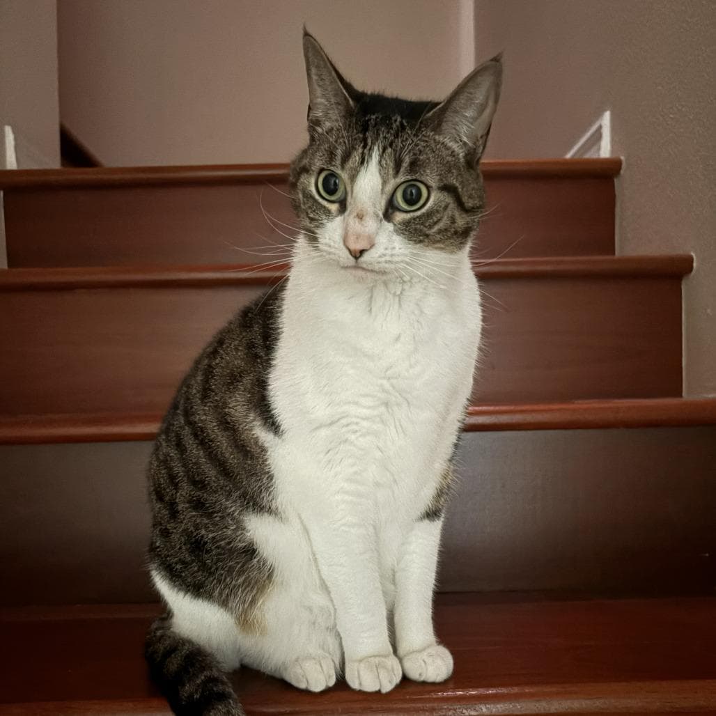 Tuna