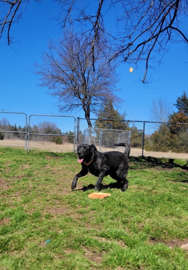 Maggie