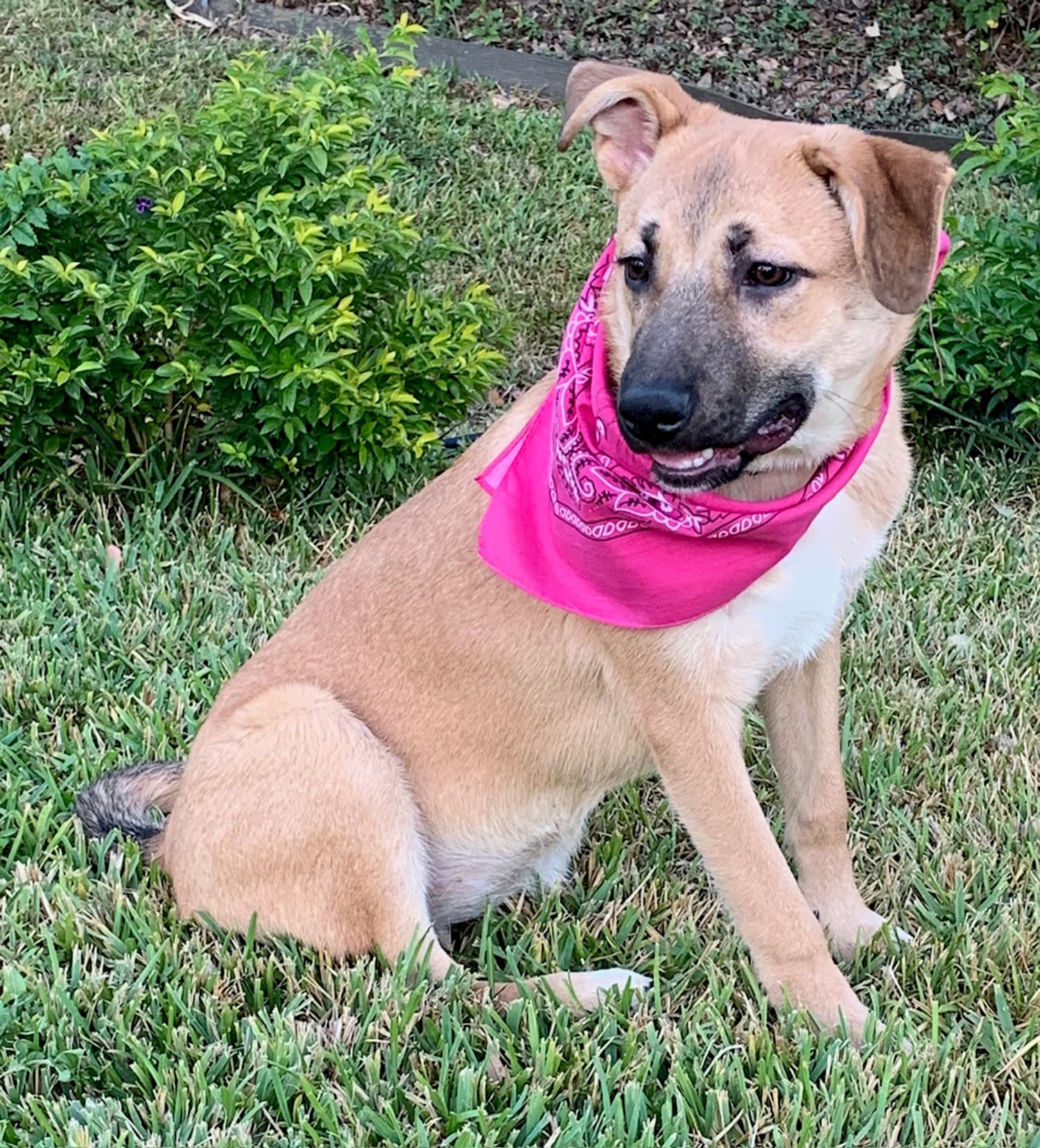 PRECIOUS - GORGEOUS GIRL!