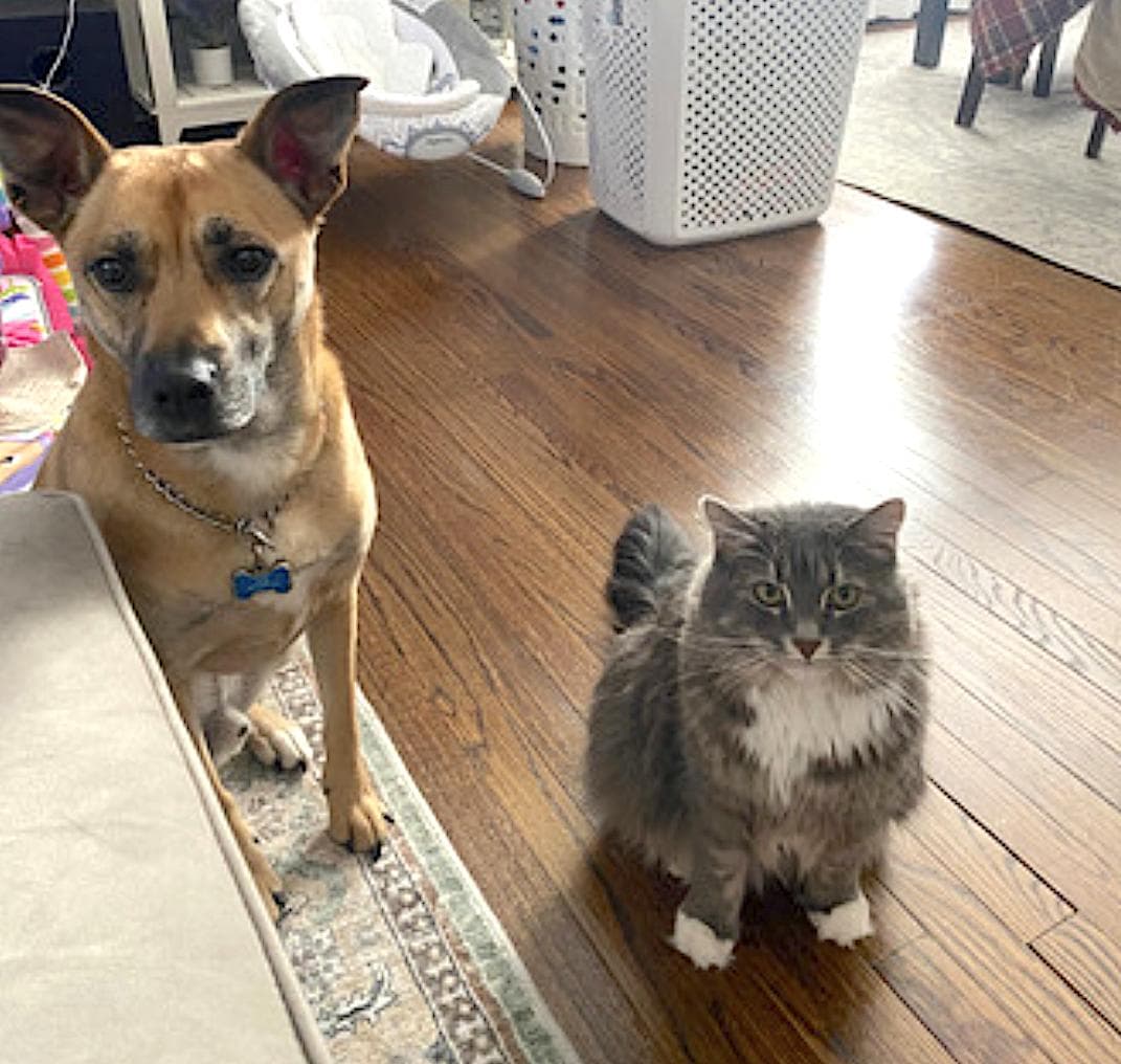 Pepper and Salt
