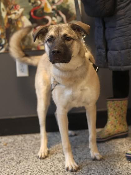 Kira FKA Sarabi FKA Birdie