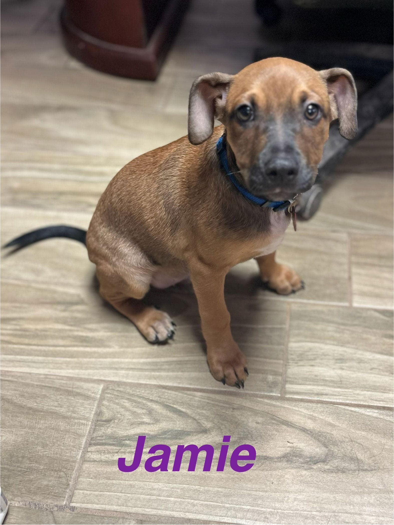 Jamie