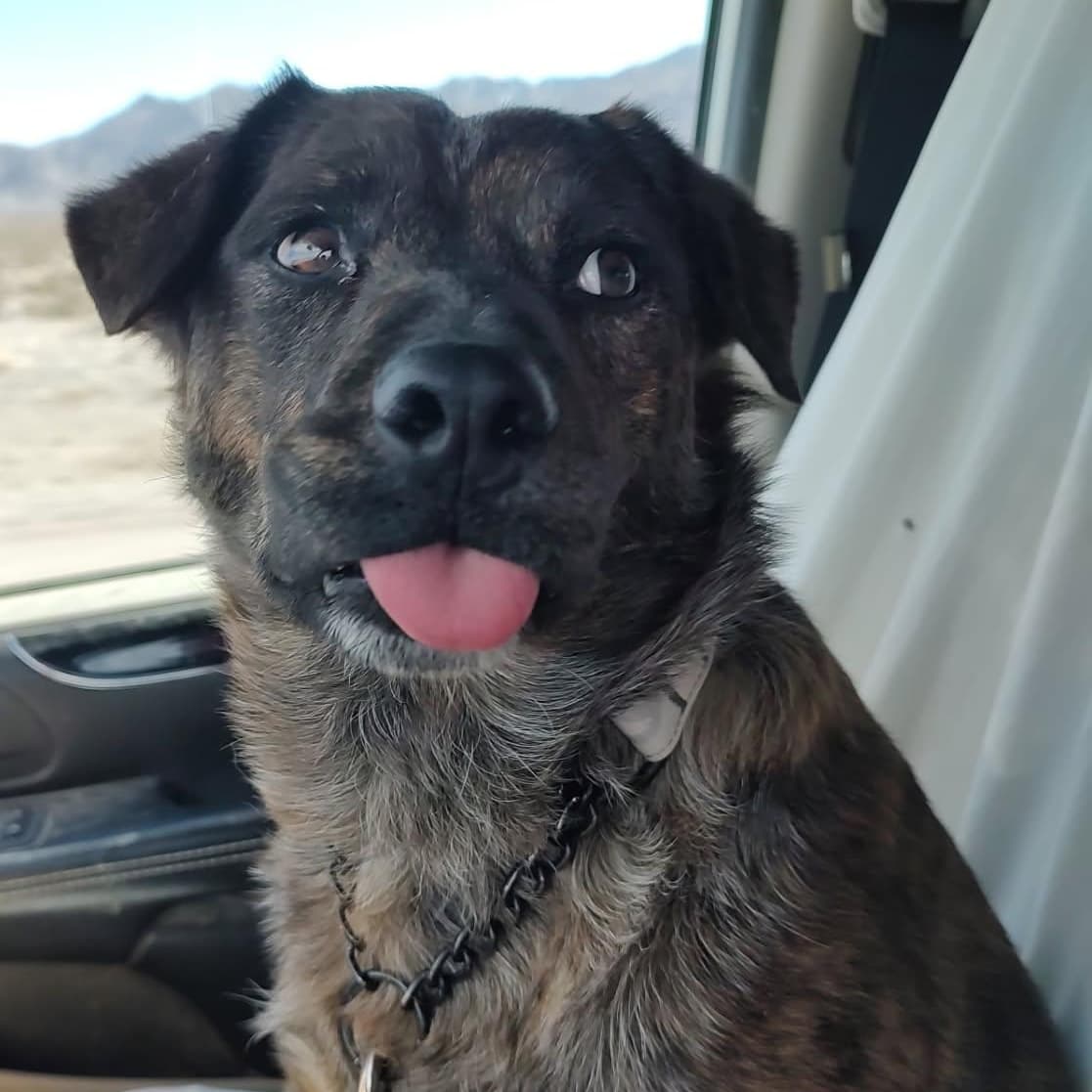 Zeke