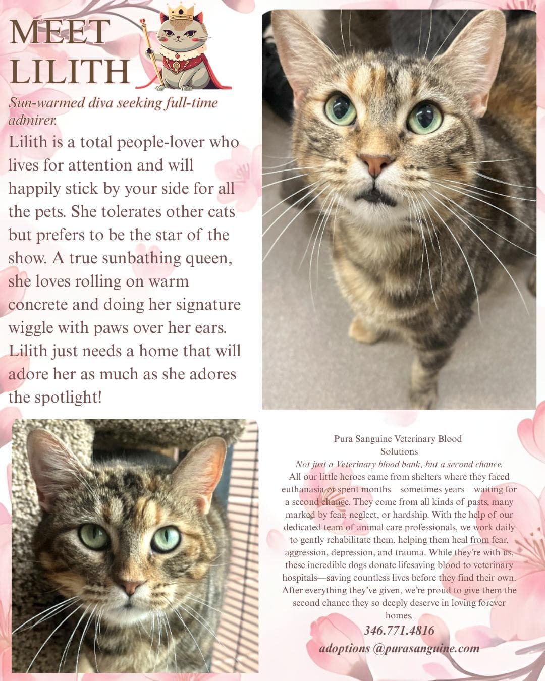 Lilly