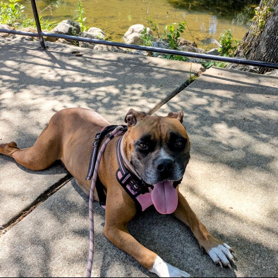 Shelby Grace (New Digs)