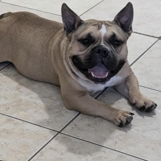 Paco