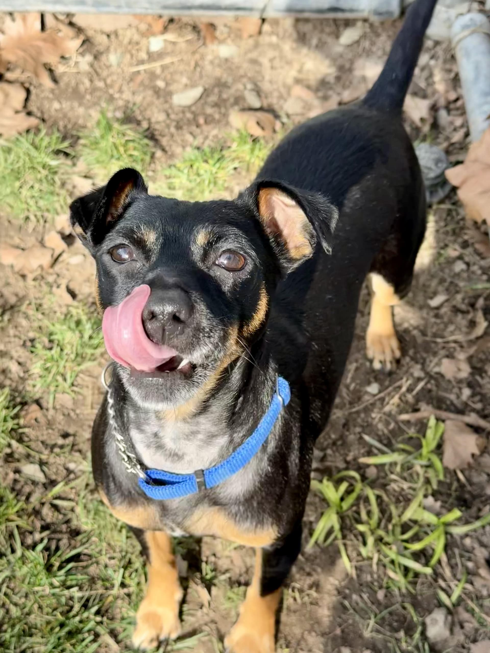 Coco