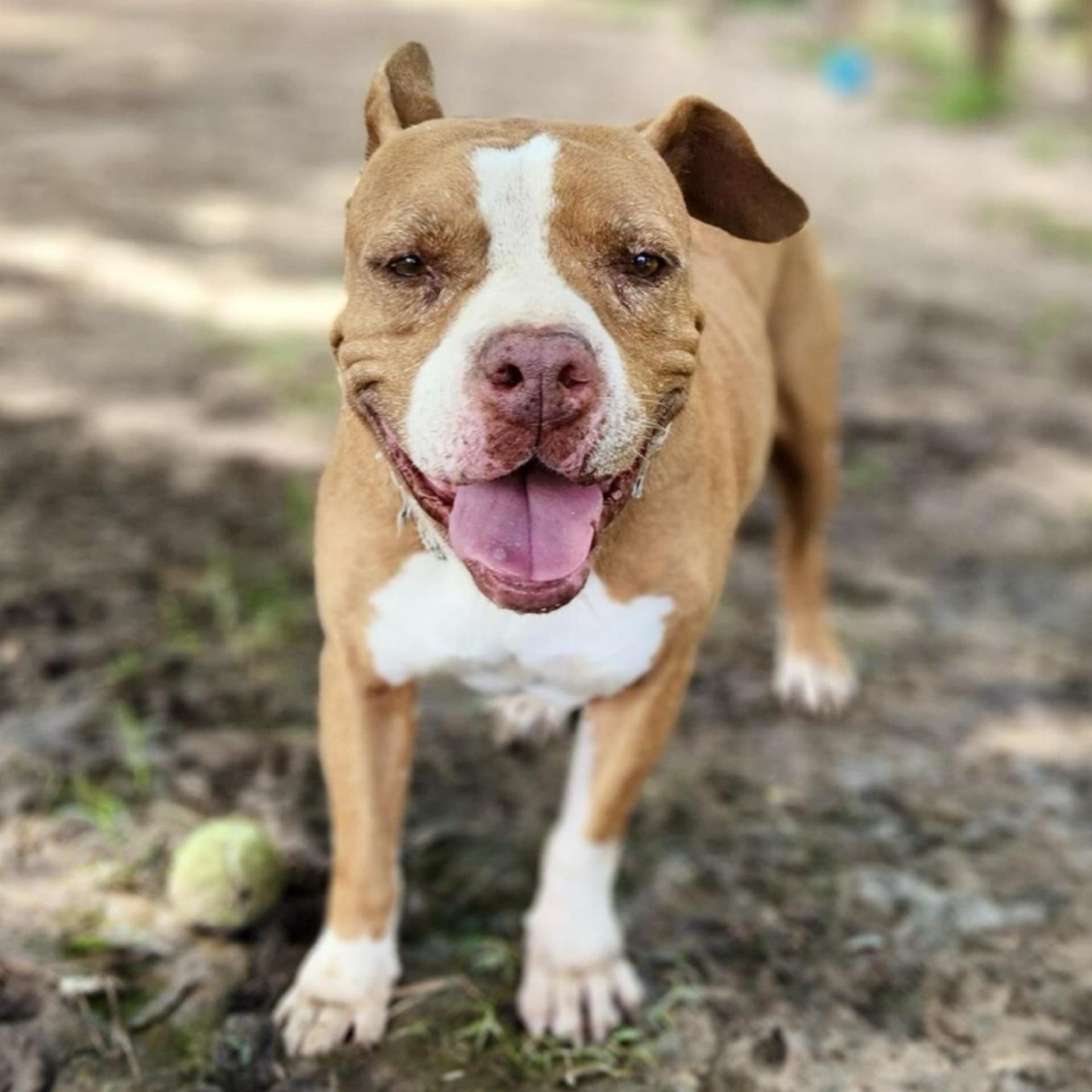 Tyson