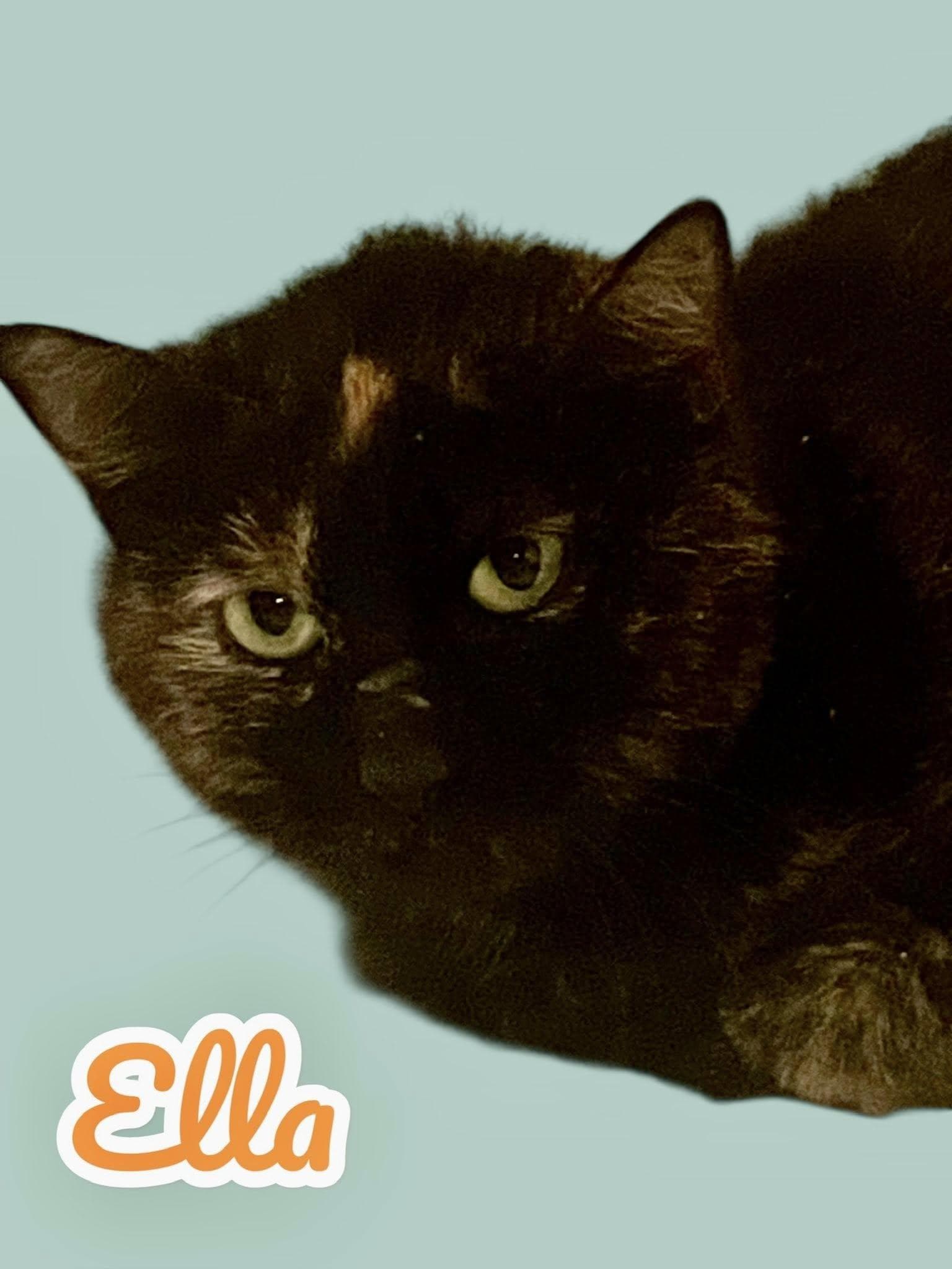 Ella NC