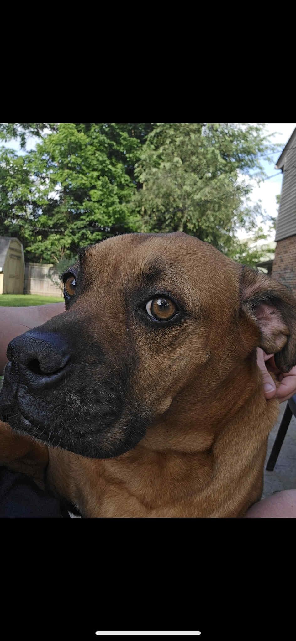 Jake (from State Farm)