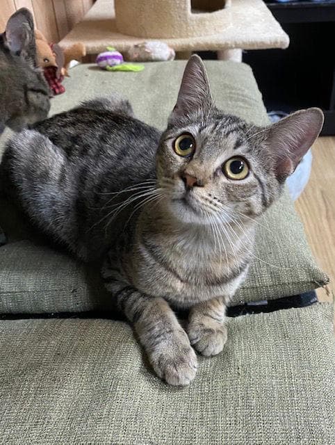 Nacho 6.14.20