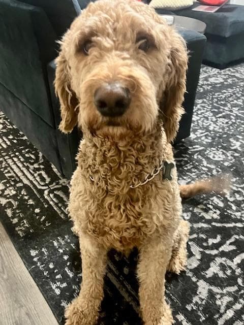 Astro