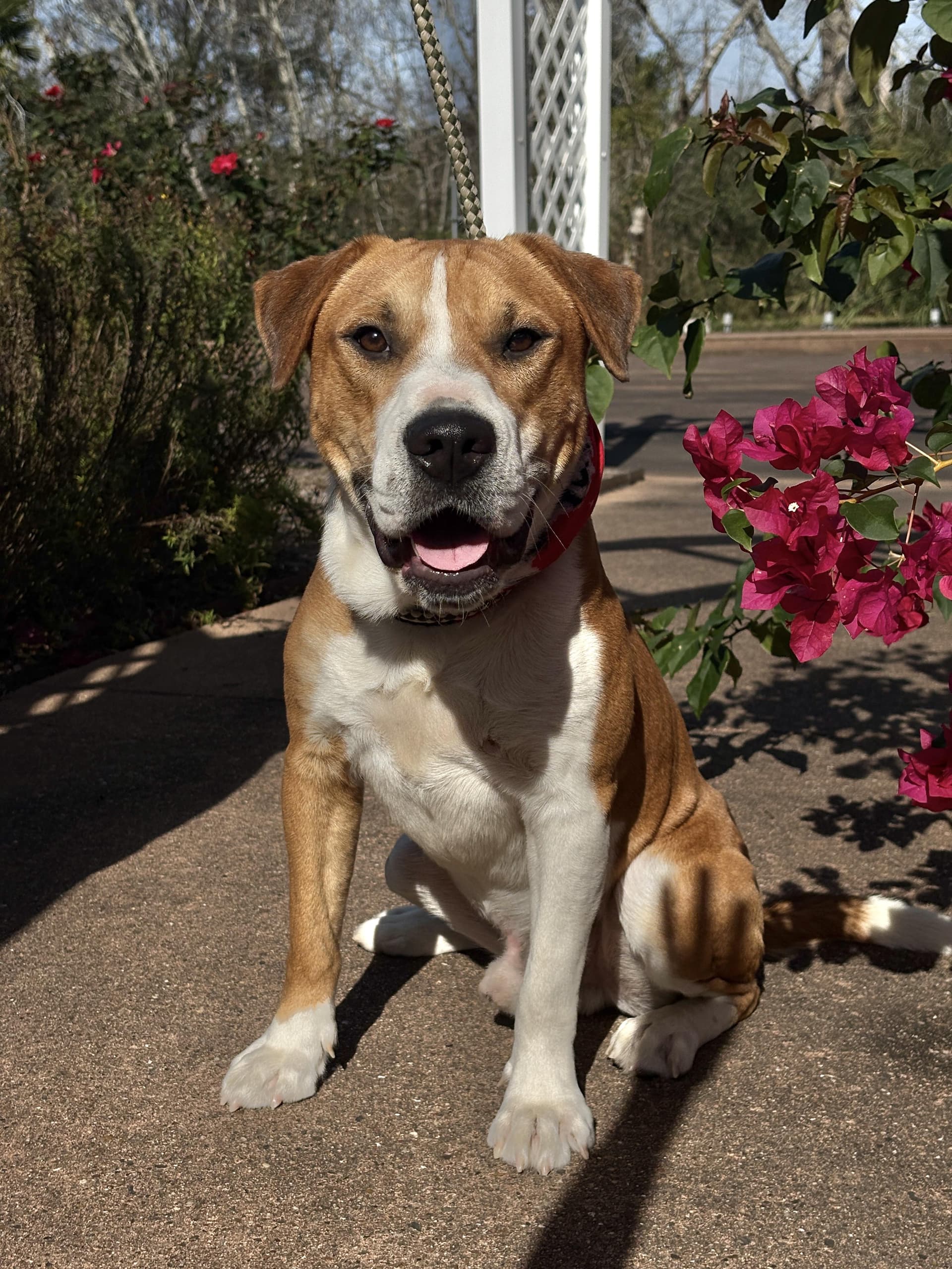 BRUNO- will make u laugh!