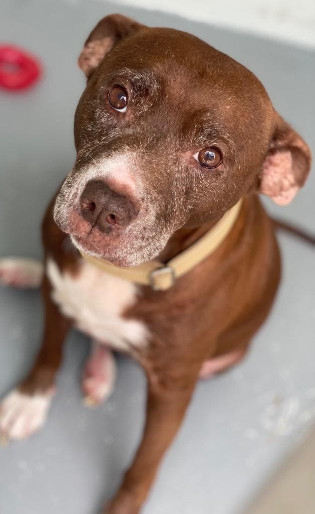 Sadie (Foster)