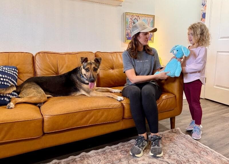 Abby Smiles Is Happiness On Four Paws