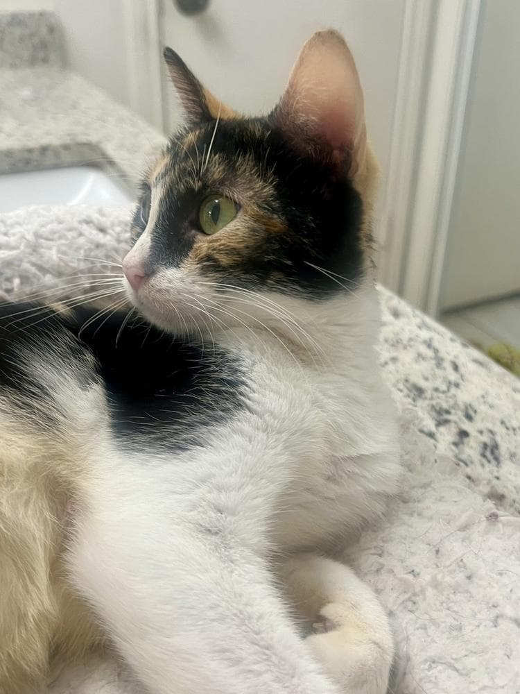 Emmi