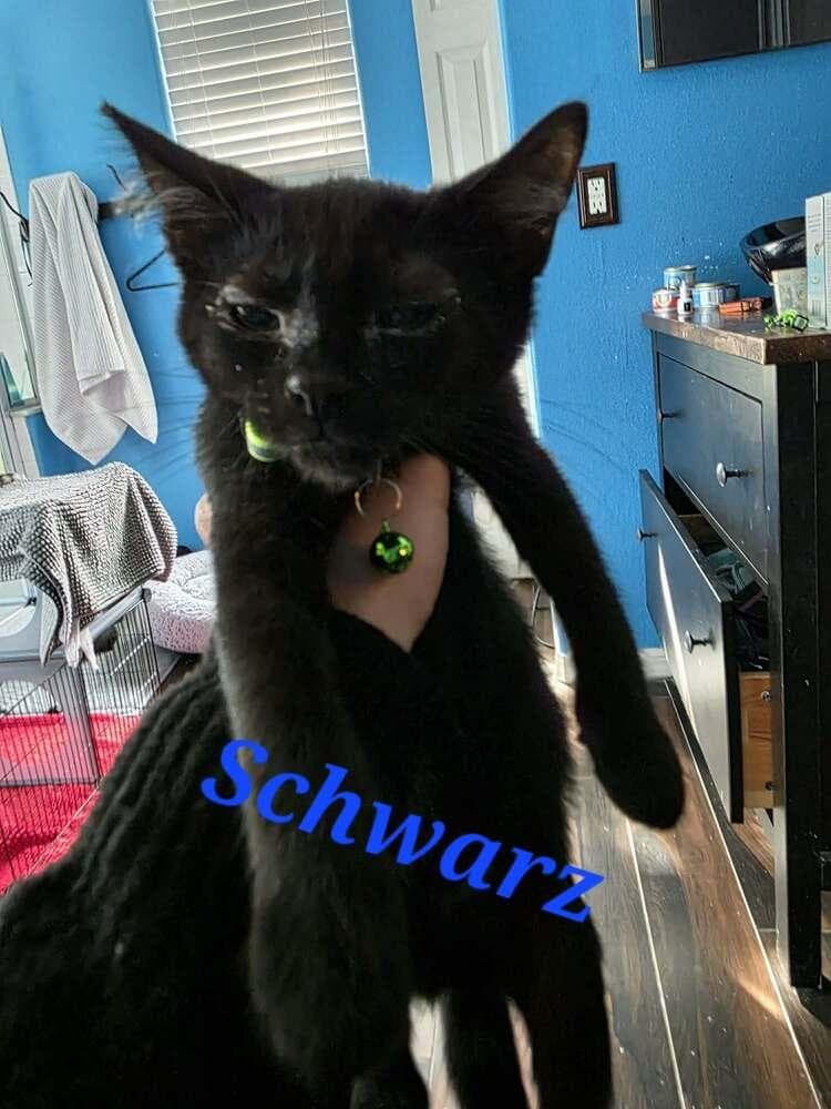 Schwarz