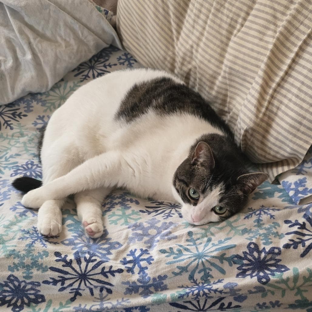 Sophia