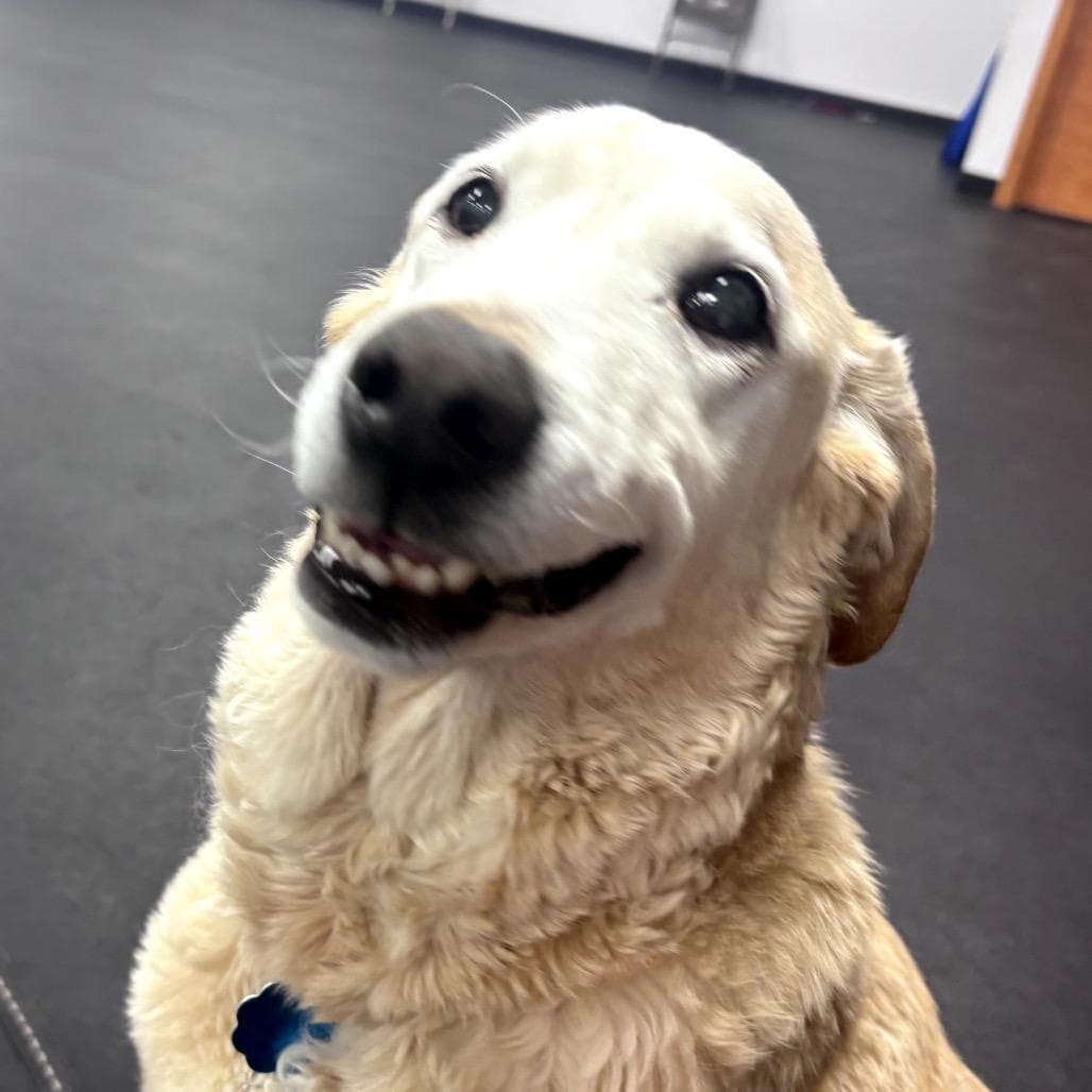 Bella