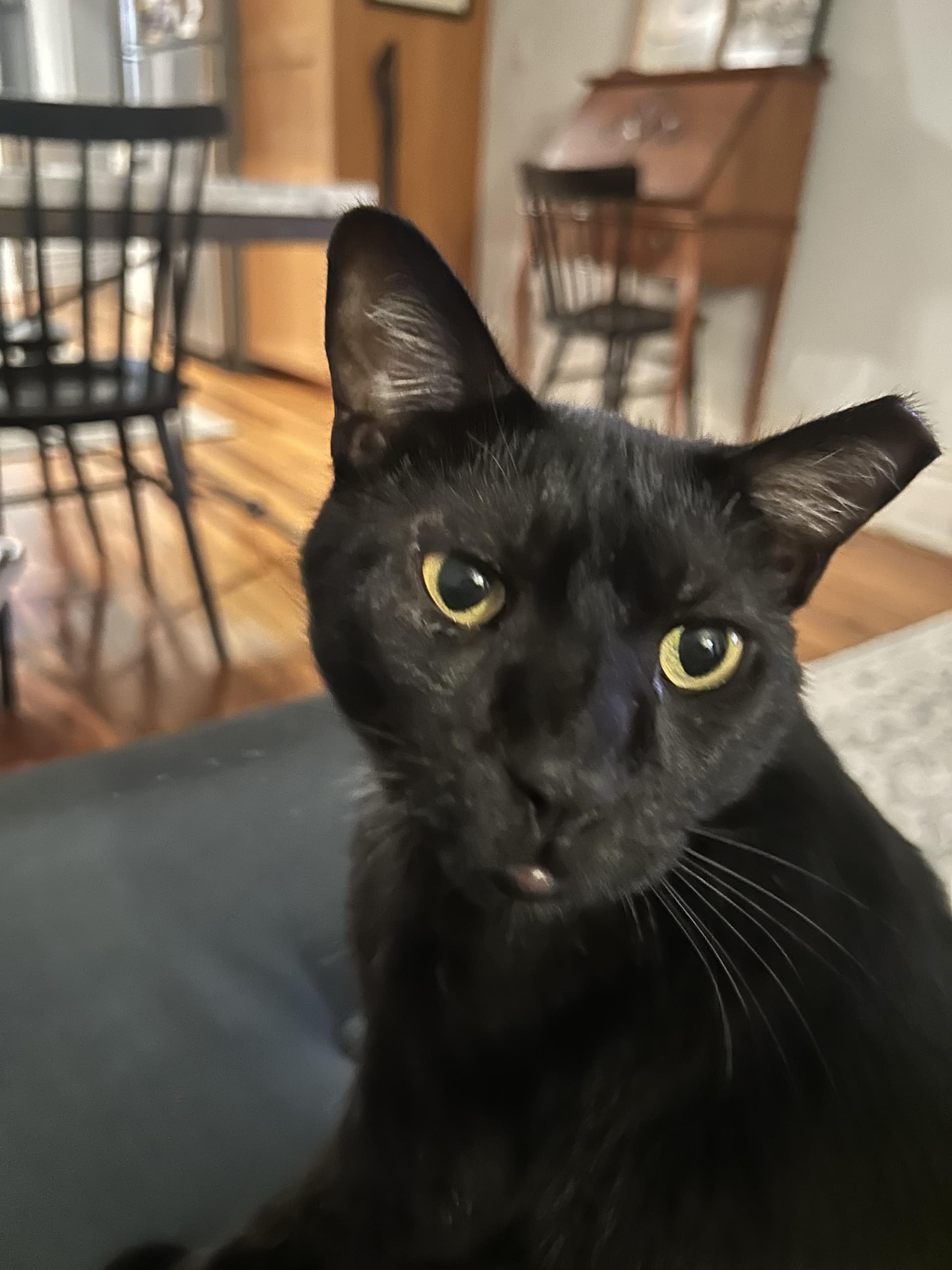 Jack