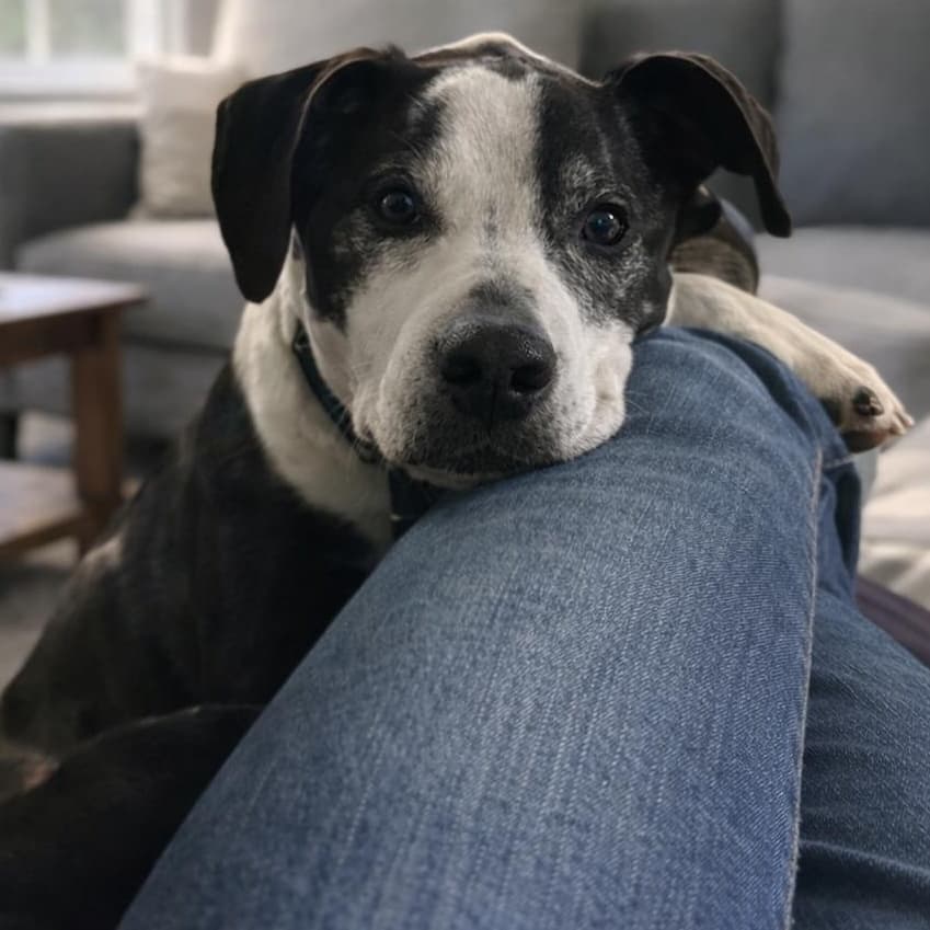 -Winston in New England