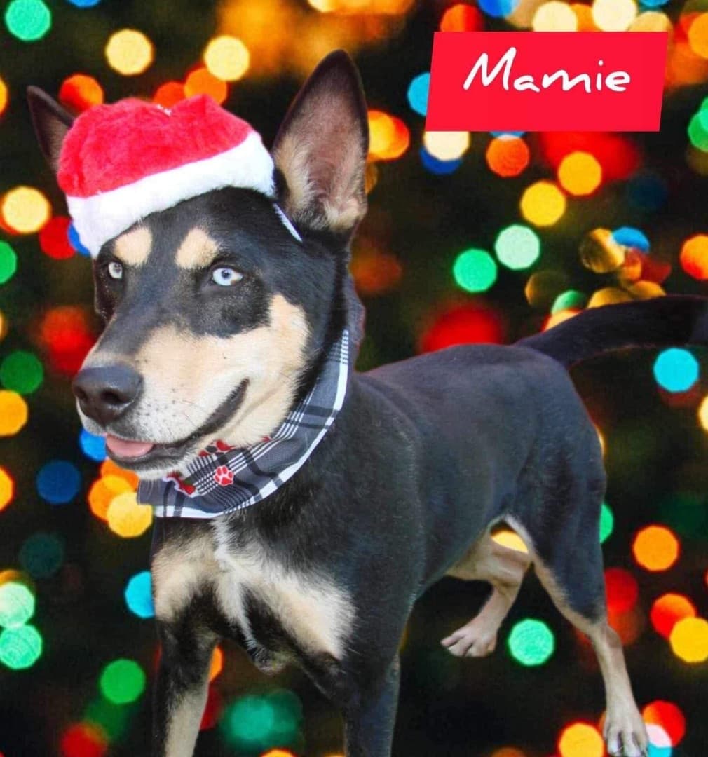 Mamie
