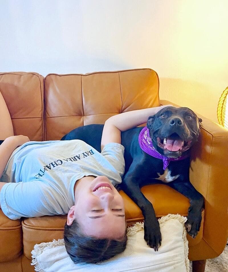 Polly Anna the Princess of lap snuggles and giggles