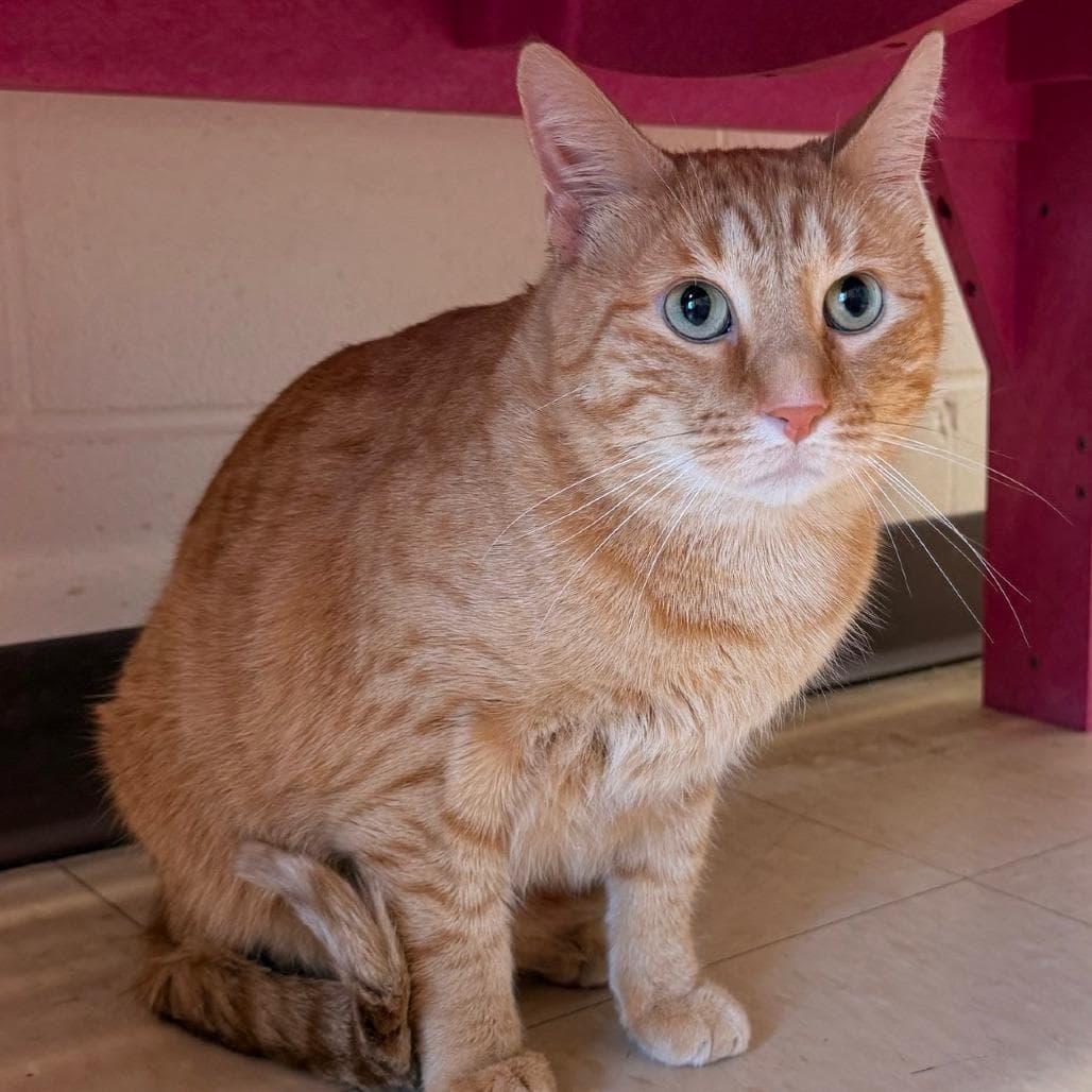 Max