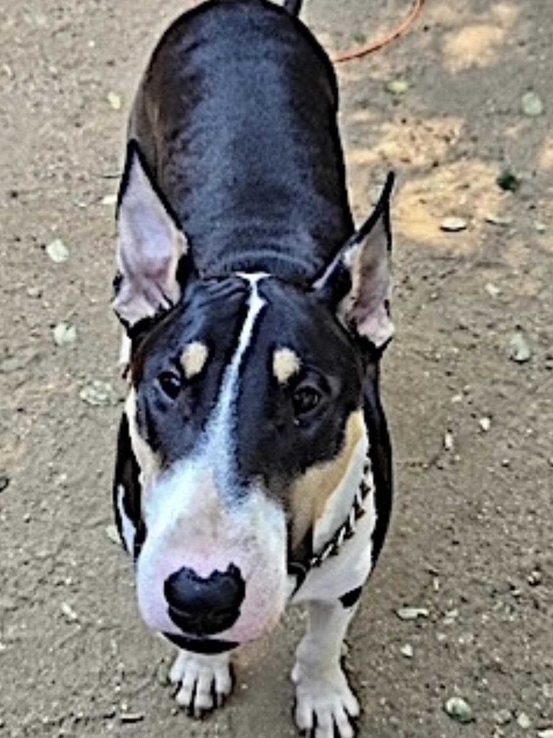Zero