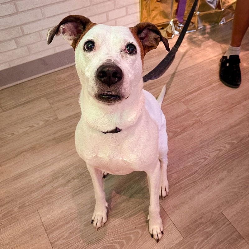 Angel III (New Digs)