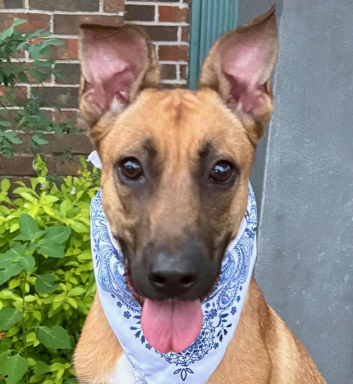 WENDALL - PRECIOUS BOY!